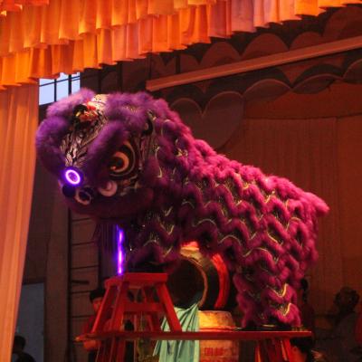 Wenyu 29