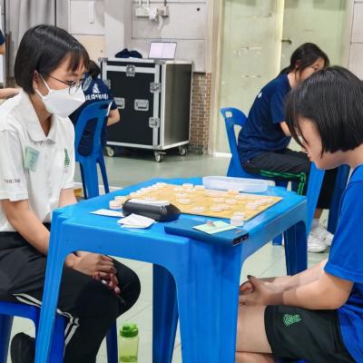 Xiangqi 3